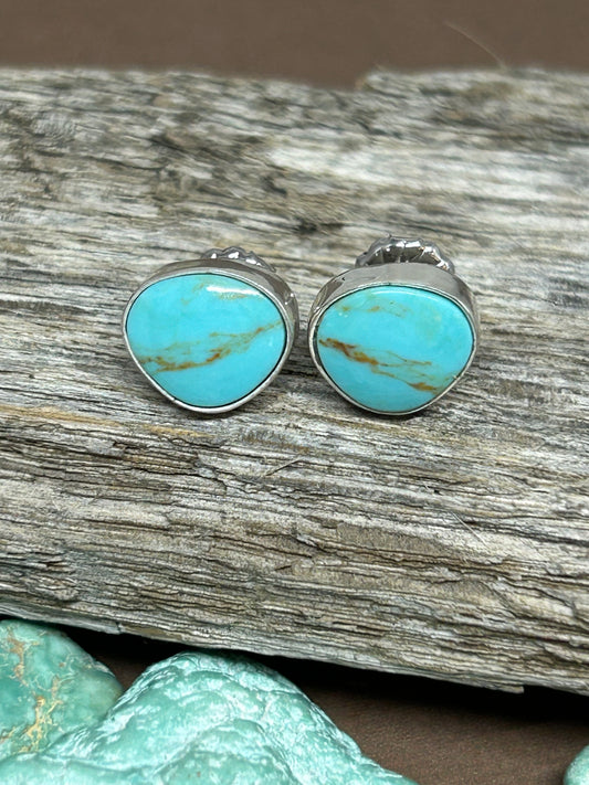 Kingman turquoise set in sterling silver with sterling ear posts and backs.