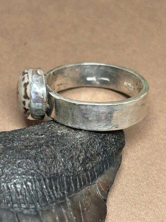 Round Sea Urchin Fossil Ring Size 8 - Taylor Made Silver