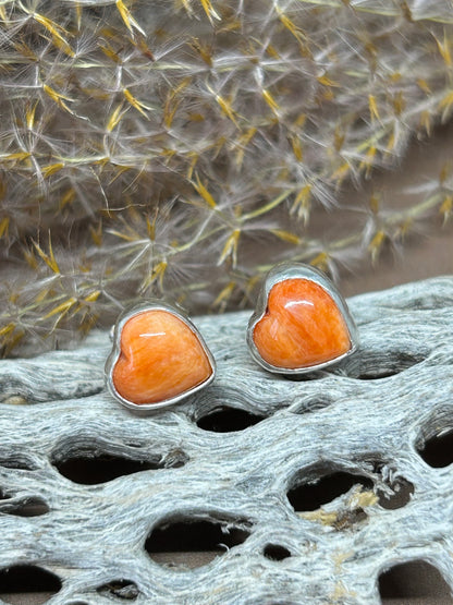 Spiny Oyster Heart Stud Earrings