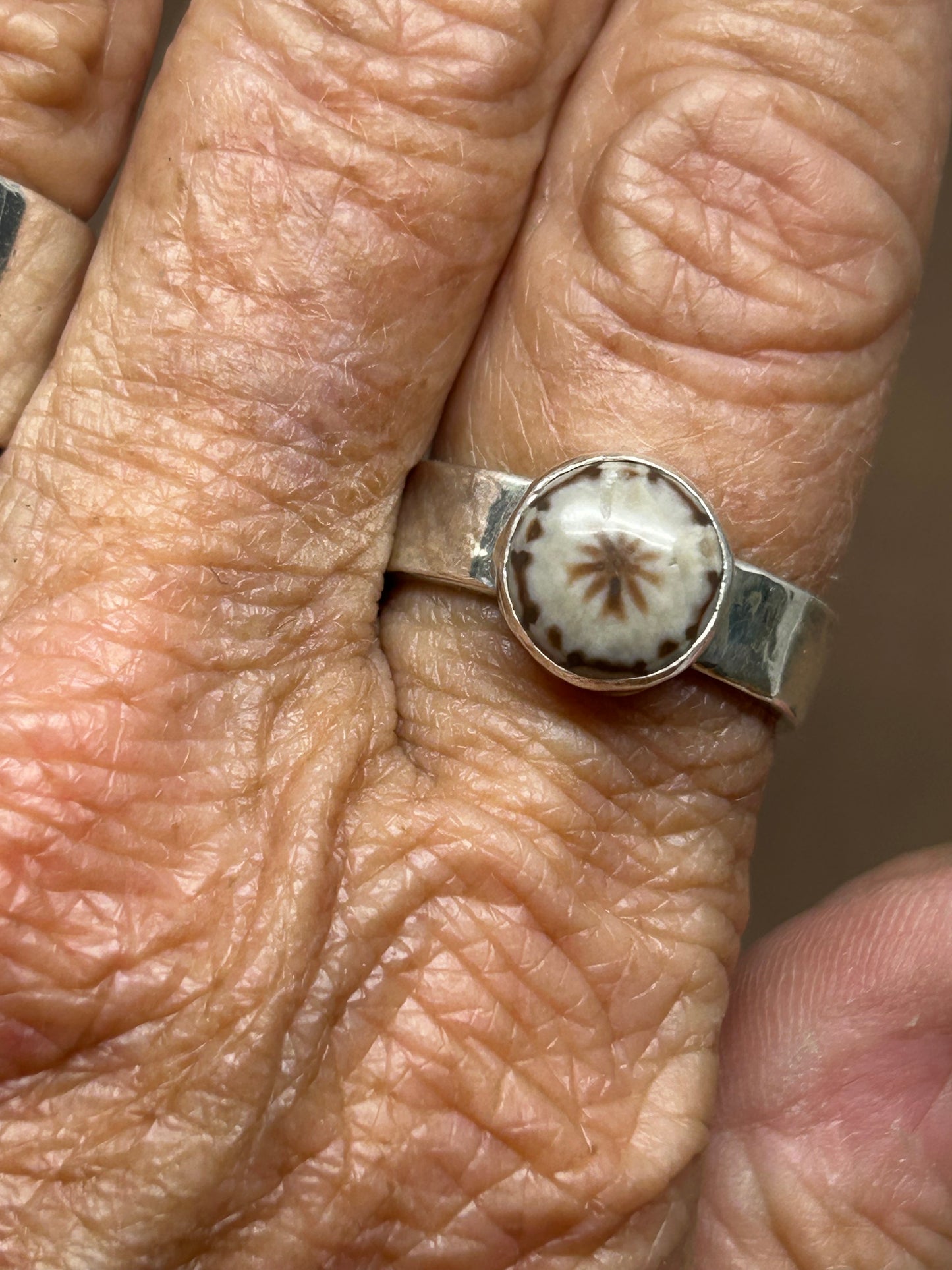 Round Sea Urchin Fossil Ring Size 8