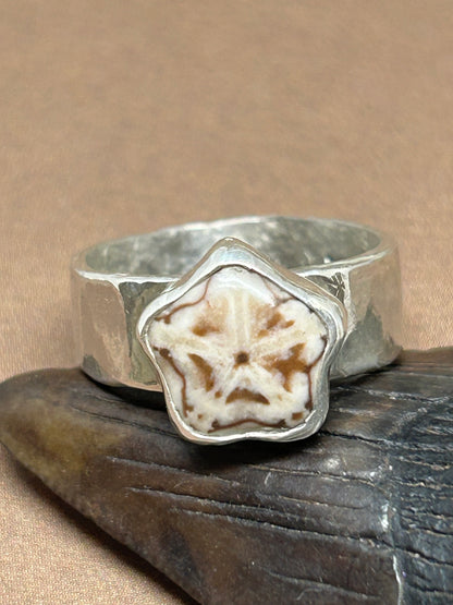 Sea Star Fossil Ring Size 6