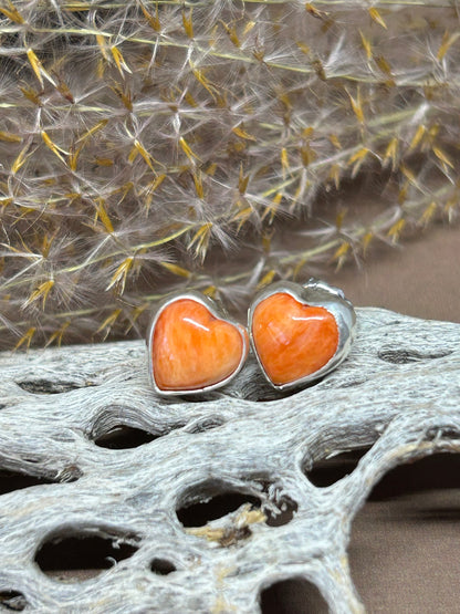 Spiny Oyster Heart Stud Earrings