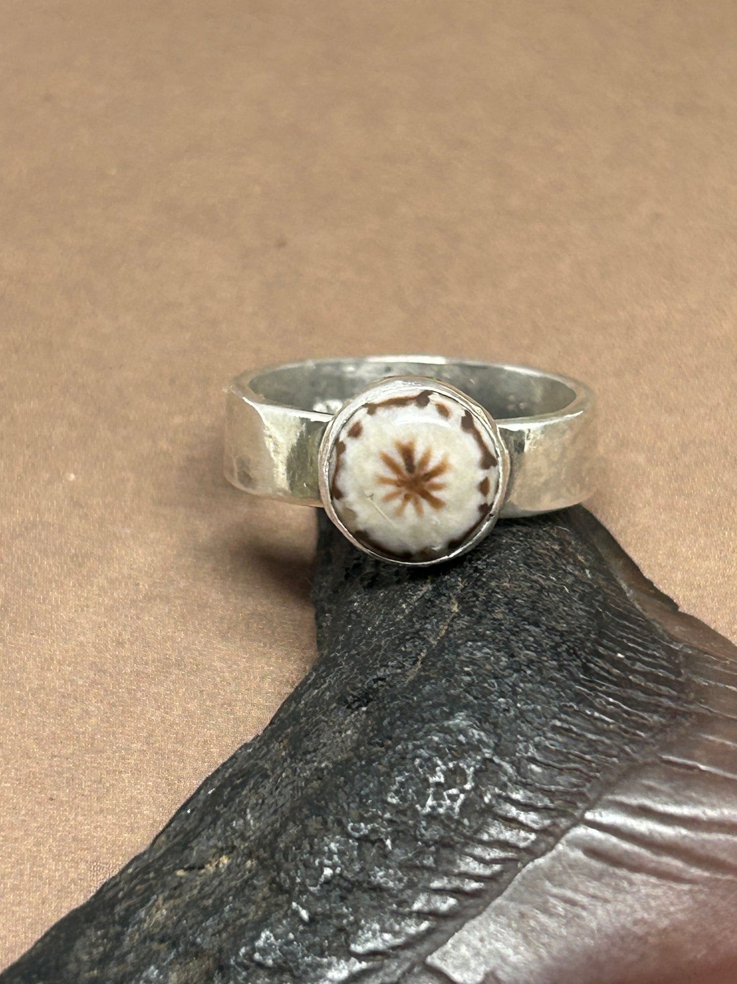 Round Sea Urchin Fossil Ring Size 8