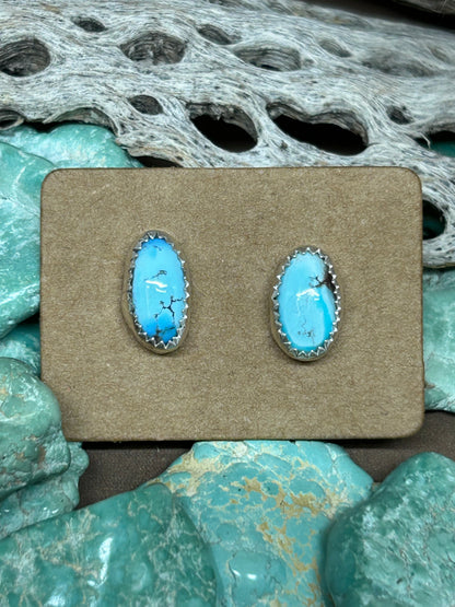 Golden Hills Turquoise Stud Earrings