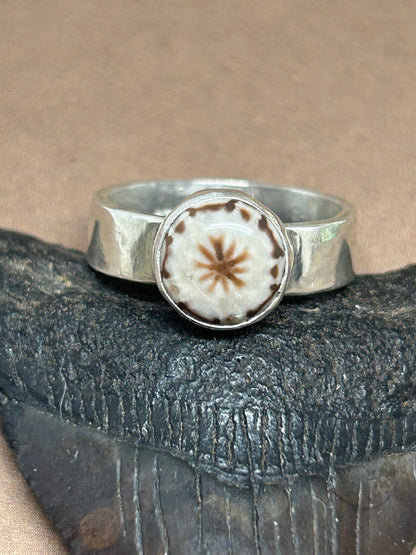 Round Sea Urchin Fossil Ring Size 8