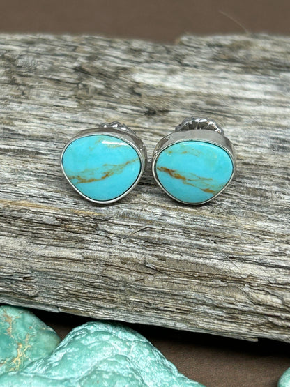 Kingman turquoise set in sterling silver with sterling ear posts and backs. 