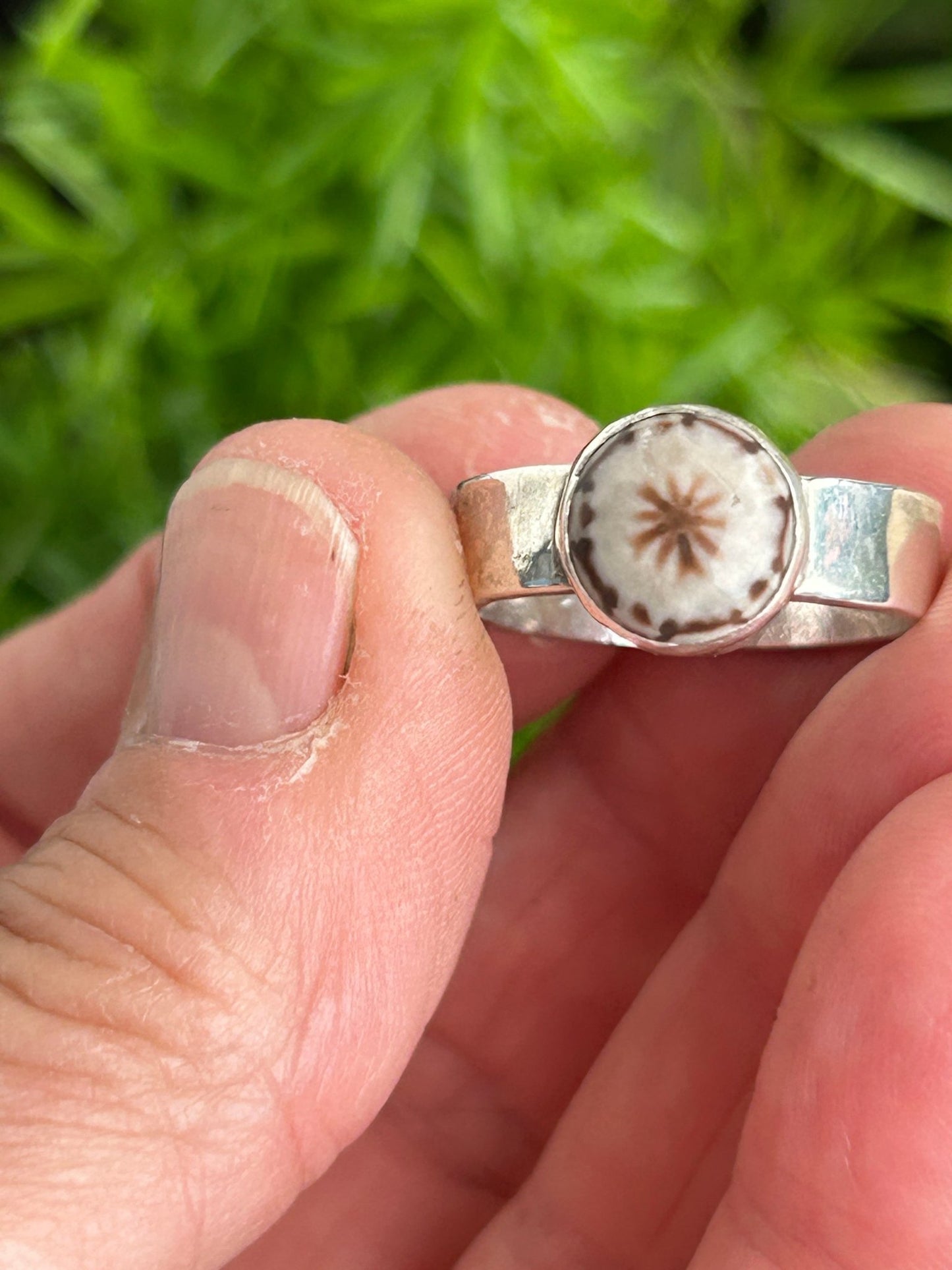 Round Sea Urchin Fossil Ring Size 8 - Taylor Made Silver