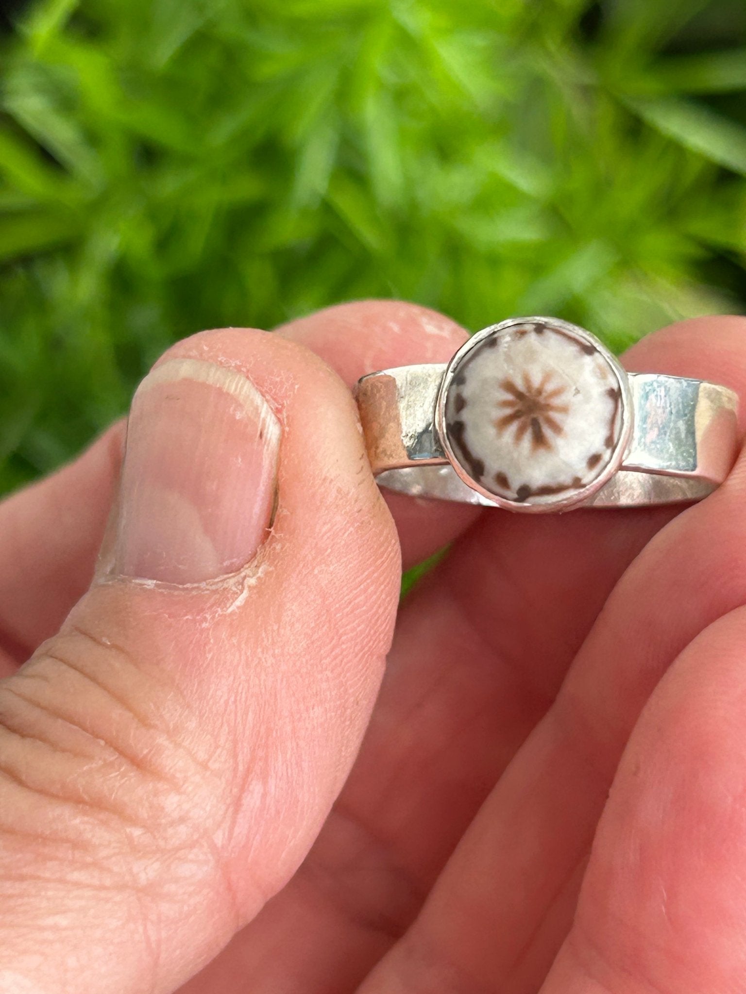 Round Sea Urchin Fossil Ring Size 8 - Taylor Made Silver