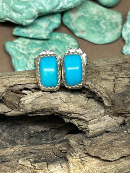 Sleeping Beauty TurquoiseStud Earrings - Taylor Made Silver