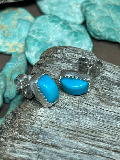 Sleeping Beauty TurquoiseStud Earrings - Taylor Made Silver