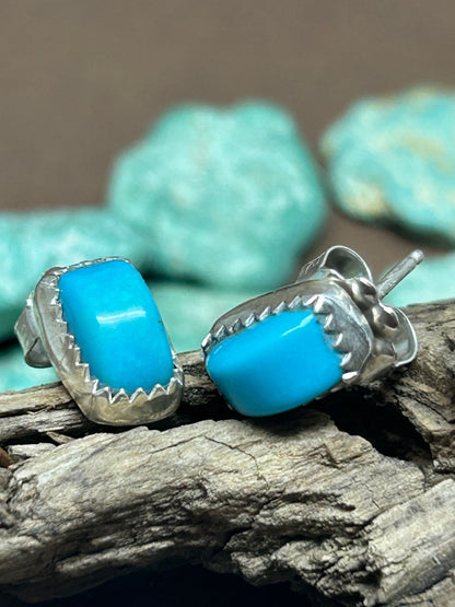 Sleeping Beauty TurquoiseStud Earrings - Taylor Made Silver